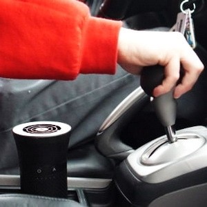 Automobile air cleaners